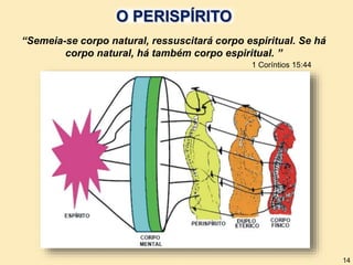 O PERISPÍRITO
“Semeia-se corpo natural, ressuscitará corpo espiritual. Se há
corpo natural, há também corpo espiritual. ”
1 Coríntios 15:44
14
 