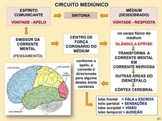 MÉDIUM
(DESDOBRADO)
VONTADE - RESPOSTA
SINTONIA
ESPÍRITO
COMUNICANTE
VONTADE - APELO
EMISSOR DA
CORRENTE
MENTAL
(PENSAMENTO)
no corpo físico do
médium
GLÂNDULA EPÍFISE
TRANSFORMA A
CORRENTE MENTAL
EM
CORRENTE NERVOSA
OUTRAS ÁREAS DO
DIENCÉFALO
CÓRTEX CEREBRAL
conforme o
apelo, a
corrente é
direcionada
para alguma
destas áreas
cerebrais
lobo frontal = FALA e ESCRITA
lobo parietal = SENSAÇÕES
lobo occipital = VISÃO
lobo temporal = AUDIÇÃO
21
CENTRO DE
FORÇA
CORONÁRIO DO
MÉDIUM
CIRCUITO MEDIÚNICO
 
