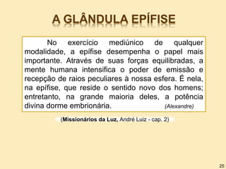 A GLÂNDULA EPÍFISE
No exercício mediúnico de qualquer
modalidade, a epífise desempenha o papel mais
importante. Através de suas forças equilibradas, a
mente humana intensifica o poder de emissão e
recepção de raios peculiares à nossa esfera. É nela,
na epífise, que reside o sentido novo dos homens;
entretanto, na grande maioria deles, a potência
divina dorme embrionária. (Alexandre)
(Missionários da Luz, André Luiz - cap. 2)
25
 