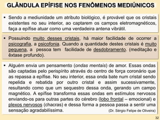 GLÂNDULA EPÍFISE NOS FENÔMENOS MEDIÚNICOS
 Possuindo muito desses cristais, há maior facilidade de ocorrer a
psicografia, a psicofonia. Quando a quantidade destes cristais é muito
pequena, a pessoa tem facilidade de desdobramento. (meditação e
êxtase profundo).
32
 Sendo a mediunidade um atributo biológico, é provável que os cristais
existentes no seu interior, ao captarem os campos eletromagnéticos,
faça a epífise atuar como uma verdadeira antena vibrátil.
 Alguém envia um pensamento (ondas mentais) de amor. Essas ondas
são captadas pelo perispírito através do centro de força coronário que
as repassa a epífise. No seu interior, essa onda bate num cristal sendo
repelida e rebatida por outro cristal e assim sucessivamente,
resultando como que um sequestro dessa onda, gerando um campo
magnético. A epífise transforma essas ondas em estímulos nervosos
enviando-os para outras partes do cérebro (lobo frontal – emocional) e
plexos nervosos (chacras) e dessa forma a pessoa passa a sentir uma
sensação agradabilíssima. (Dr. Sérgio Felipe de Oliveira)
 
