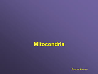 Mitocondria



              Sandra Alonso
 