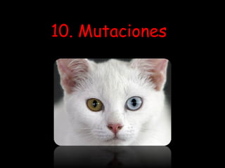 10. Mutaciones
 