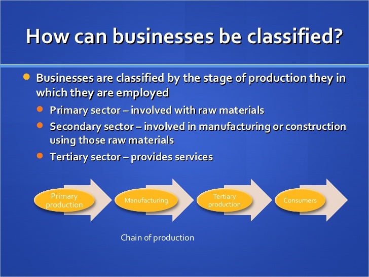 1.1 Nature Of Business Activity