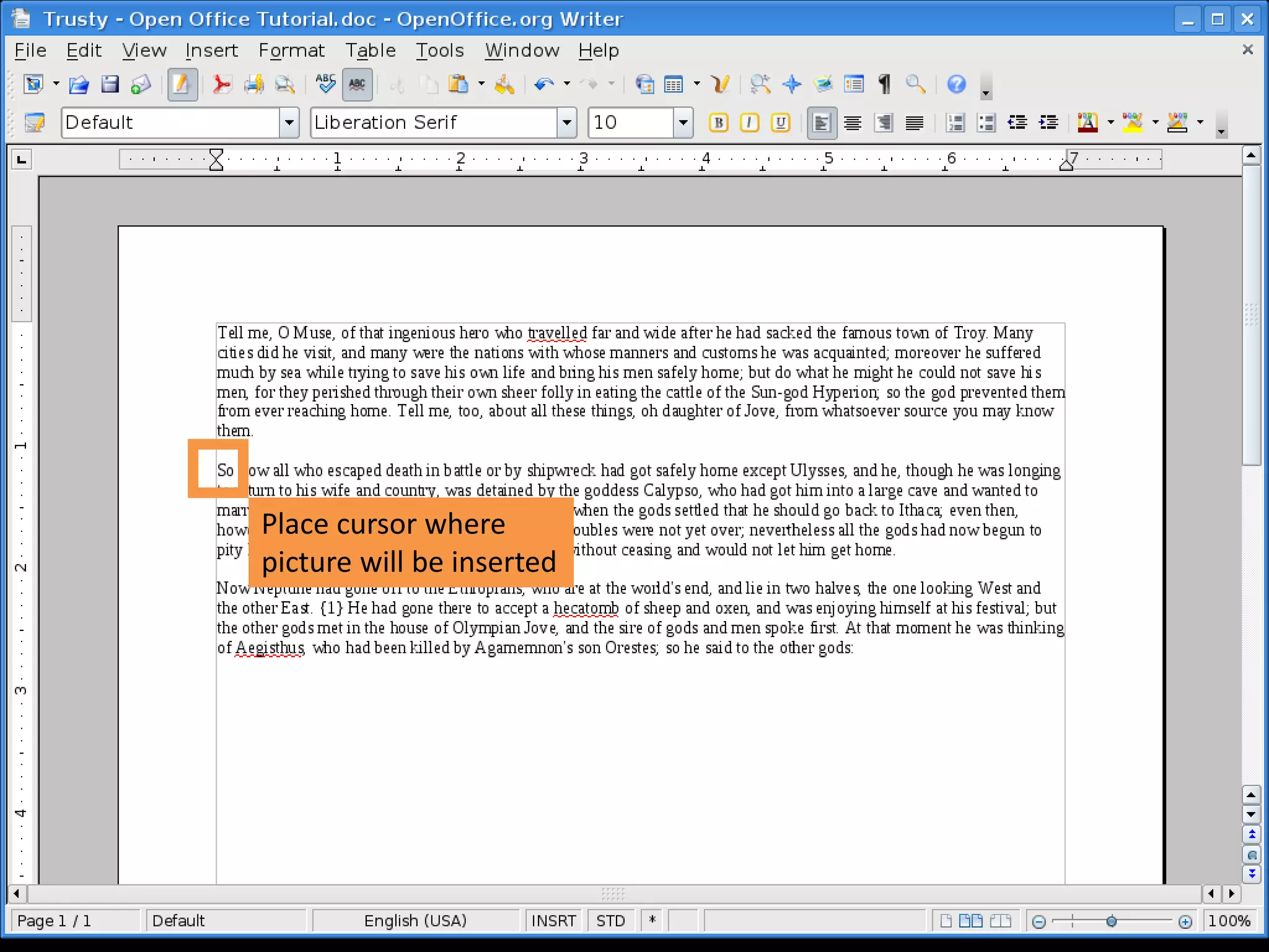 Place cursor where
picture will be inserted
 