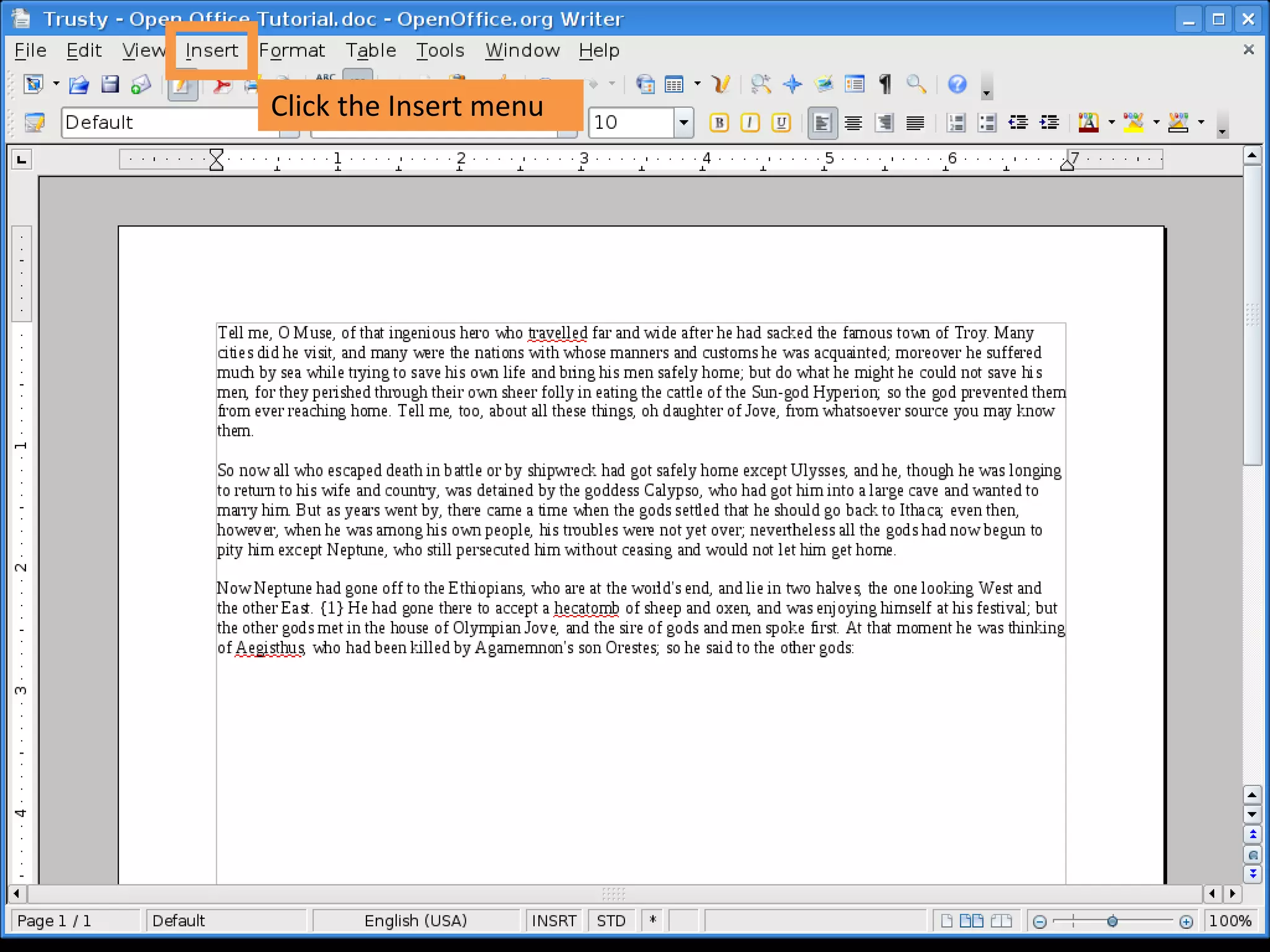 Click the Insert menu
 