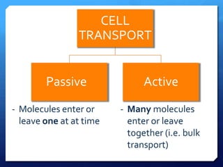CELL
                TRANSPORT


        Passive                Active
- Molecules enter or     - Many molecules
  leave one at at time     enter or leave
                           together (i.e. bulk
                           transport)
 
