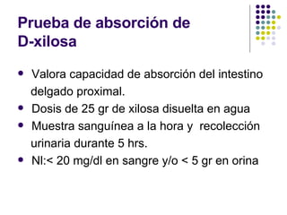 Prueba de absorción de  D-xilosa Valora capacidad de absorción del intestino delgado proximal.  Dosis de 25 gr de xilosa disuelta en agua Muestra sanguínea a la hora y  recolección urinaria durante 5 hrs. Nl:< 20 mg/dl en sangre y/o < 5 gr en orina 