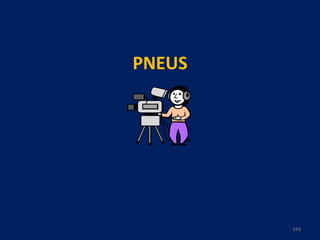 PNEUS 