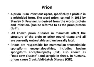 Prion | PPT