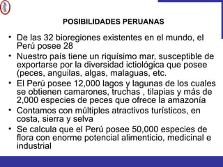 POSIBILIDADES PERUANAS
• De las 32 bioregiones existentes en el mundo, el
Perú posee 28
• Nuestro país tiene un riquísimo mar, susceptible de
exportarse por la diversidad ictiológica que posee
(peces, anguilas, algas, malaguas, etc.
• El Perú posee 12,000 lagos y lagunas de los cuales
se obtienen camarones, truchas , tilapias y más de
2,000 especies de peces que ofrece la amazonía
• Contamos con múltiples atractivos turísticos, en
costa, sierra y selva
• Se calcula que el Perú posee 50,000 especies de
flora con enorme potencial alimenticio, medicinal e
industrial
 