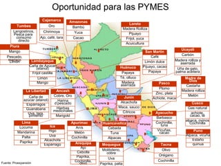 Espárrago
Alcachofa
Uva
Higo
Ica
Paprika
Palta
Mandarina
Lúcuma
Lima
Acuicultura
Frijol, yuca
Pijuayo
Madera Rolliza
Loreto
Papaya
Pijuayo, cacao
Limón dulce
Café
San Martin
Cacao
Yuca
Bambú
Amazonas
Marigold
Hierbas
medicinales
Harina
d’pescado
Cobre, Oro
Ancash
Uva, tara,
pimiento
Guanábana
Espárragos
Caña de
azúcar (etanol)
La Libertad
Mango
Limón
Frijol castilla
Caña de Azúcar
(etanol)
Lambayeque
Ajo, café, tara
Chirimoya
Oro
Cajamarca
Uña de gato,
palma aceitera
Madera rolliza y
aserrada
Carbón
Ucayali
Madera
aserrada
Té, olluco
Papaya
Huánuco
Cochinilla,
olivo
Paprika,
Cebolla
Ajo
Arequipa
Melón
Madera rolliza
Castaña
Madre de
Dios
quinua
Estaño
Alpaca, vicuña
Puno
alpaca, ovinos
Cochinilla
achiote,
cacao, té
Gas natural
Cusco
Cítricos
Maca, sauco
Alcachofa
Junín Achiote, maca
Zinc, plata
Plomo
Pasco
Cochinilla
Melón
Anís
Apurímac
Fuente: Proexpansión
Langostinos,
Pesca para
consumo
directo
Tumbes
Oportunidad para las PYMES
Vicuñas,
cacao
Cochinilla,
tuna
Barbasco
Ayacucho
Alpacas
Tuna
Cebada
Huancavelica
Limón
Pescado,
marisco
Mango
Piura
Paprika, palta
Uva
Molibdeno,
cobre
Moquegua
Cochinilla
Orégano
Olivo
Tacna
 
