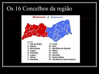 Os 16 Concelhos da região
 