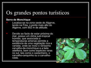 Os grandes pontos turísticos
Serra de Monchique
    Localiza-se na zona oeste do Algarve, 
     tendo na Fóia, o ponto mais alto do 
     Algarve, com 902 m de altitude. 

    Devido ao facto de estar próxima do 
     mar, possui um clima sub-tropical 
     húmido, que associada a 
     temperaturas amenas permite a 
     existência de uma vegetação rica e 
     variada, onde se inclui o raríssimo 
     carvalho-de-monchique e a bela 
     adelfeira, bem como espécies raras 
     no sul, tais como o castanheiro, o 
     carvalho-cerquinho ou o carvalho-
     roble.
 