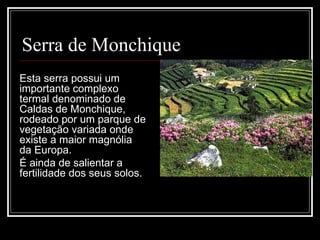 Serra de Monchique
Esta serra possui um 
importante complexo 
termal denominado de 
Caldas de Monchique, 
rodeado por um parque de 
vegetação variada onde 
existe a maior magnólia 
da Europa. 
É ainda de salientar a 
fertilidade dos seus solos.
 
