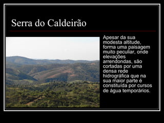 Serra do Caldeirão
                     Apesar da sua 
                     modesta altitude, 
                     forma uma paisagem 
                     muito peculiar, onde 
                     elevações 
                     arrendondas, são 
                     cortadas por uma 
                     densa rede 
                     hidrográfica que na 
                     sua maior parte é 
                     constituída por cursos 
                     de água temporários. 
 