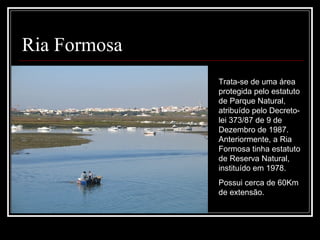 Ria Formosa
              Trata-se de uma área 
              protegida pelo estatuto 
              de Parque Natural, 
              atribuído pelo Decreto-
              lei 373/87 de 9 de 
              Dezembro de 1987. 
              Anteriormente, a Ria 
              Formosa tinha estatuto 
              de Reserva Natural, 
              instituído em 1978.
              Possui cerca de 60Km 
              de extensão.  
 