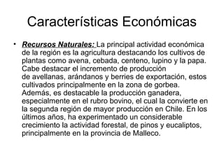 Características Económicas
• Recursos Naturales: La principal actividad económica
de la región es la agricultura destacando los cultivos de
plantas como avena, cebada, centeno, lupino y la papa.
Cabe destacar el incremento de producción
de avellanas, arándanos y berries de exportación, estos
cultivados principalmente en la zona de gorbea.
Además, es destacable la producción ganadera,
especialmente en el rubro bovino, el cual la convierte en
la segunda región de mayor producción en Chile. En los
últimos años, ha experimentado un considerable
crecimiento la actividad forestal, de pinos y eucaliptos,
principalmente en la provincia de Malleco.
 