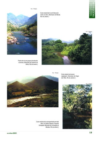 - orientação técnica -
                                                                                                                                              Revitalização de Rios
                                       Foto: Planágua



                                                          Curso natural de rio com blocos de
                                                          rocha no leito ( Município de Macaé,
                                                          Rio de Janeiro )




                                                                                                                                    Foto: Planágua




               Trecho de rio com grupos de arbustos
                e árvores ( Município de Casimiro de
                              Abreu, Rio de Janeiro )




                                                                                  Foto: Planágua
                                                                                                   Curso natural com pouca
                                                                                                   vegetação ( Município de Angra
                                                                                                   dos Reis, Rio de Janeiro )


                                                                                                                                    Foto: Planágua




                                                   Curso natural de rio acompanhado de mata
                                                          ciliar ( rio Santa Catarina, Fazenda
                                                       Carrapeta, Município de Conceição de
                                                                       Macabu, Rio de Janeiro )



outubro/2001                                                                                                                               13
 