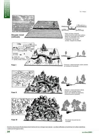 Revitalização de Rios
- orientação técnica -

                                                                                                                                                   Foto: Planágua




                                                                                3.7




                                                                                                                     - Dispor de faixas marginais
                         Situação inicial                                                                              (compra de terreno pelo poder público);
                                                                                                                     - Retirar as construções das margens
                         (retificado)                                                                                  (muros, enrocamentos, etc.);
                                                                                                                     - Transformar o uso do solo
                                                                                                                       na faixa marginal de proteção.


                                              aumento da calha através
                                              de obras transversais


                                    obras longitudinais

                           plantação
                           de mudas
                            matas nas
                            baixadas inundáveis
                            (terras úmidas, brejos)



                         Fase I                                                                                       Promover o desenvolvimento próprio através
                                                                                                                      de medidas de manutenção




                                                                                                                     - Observar o desenvolvimento natural;
                                                                                                                     - Permitir uma sucessão natural;
                         Fase II                                                                                     - Intervir com métodos da engenharia
                                                                                                                       ambiental quando necessário.




                         Fase III                                                                                       Rio sinuoso nas planícies de
                                                                                                                        inundação



            Incentivos de processos fluviais desenvolvem trechos de rios e córregos mais naturais – as calhas retificadas se transformam em calhas meândricas
            ( sistema de formação do leito )

            20                                                                                                                                          outubro/2001
 