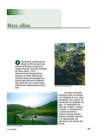 Revitalização de Rios
 - orientação técnica -




Mata ciliar


                                                                                                  Foto: Planágua




               O      riginalmente, grande parte do
                      Estado do Rio de Janeiro era
               coberta de florestas, inclusive nas
               margens dos rios, onde são chamadas
               de matas ciliares. Com o
               desenvolvimento da agricultura e
               pecuária, as matas ciliares foram
               cedendo espaço para pastagens ou
               culturas agrícolas que se estendem
               até a beira dos rios e corpos d’água,
               influenciando negativamente a fauna             Trecho de rio com matas ciliares
               local.
                                                       Foto: Planágua
                                                                               As matas ciliares têm
                                                                        importante papel na ecologia
                                                                        e na hidrologia de uma bacia
                                                                        hidrográfica, pois auxiliam na
                                                                        manutenção da qualidade da
                                                                        água, na estabilidade dos
                                                                        solos das margens, evitando
                                                                        a erosão e o assoreamento,
                                                                        no desenvolvimento e
                                                                        sustento da fauna silvestre
                                                                        aquática e terrestre ribeirinha
                                                                        e na regularização dos
                                                                        regimes dos rios através dos
                                                                        lençóis
Trecho do rio sem arborização

outubro/2001                                                                                                       29
 