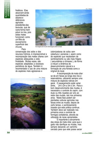 Revitalização de Rios
- orientação técnica -                                                                                                                         Foto: Planágua
                                 freáticos. Elas
                                 absorvem ainda
                                 quantidades de
                                 adubos e
                                 defensivos
                                 agrícolas
                                 excedentes das
                                 lavouras, que de
                                 outra forma iriam
                                 poluir os rios, pois
                                 estas matas
                                 funcionam como
                                 um filtro do
                                 escoamento
                                 superficial das
                                 chuvas.                                As margens de rio sem arborização sofrem erosão
                                            Para
                                 conservação dos solos e dos                                        colonizadoras de solos sem
                                 recursos hídricos, é imprescindível a                              cobertura ( pioneiras ), assim como
                                 recomposição das matas ciliares com de espécies que necessitam de
                                 espécies adequadas a esta                                          sombreamento ou são mais frágeis
                                 finalidade. Muitas vezes, são                                      ( secundárias e clímaxes ), de forma
                                 espécies adaptadas a excessos                                      a induzir a dinâmica de
                                 periódicos de água. Também é                                       desenvolvimento natural e a
                                 recomendado o uso de uma mistura                                   formação de uma floresta como a
                                 de espécies mais agressivas e                                      original do local.
                                                                                                               A recomposição de mata ciliar
                                                                              Foto: Planágua
                                                                                                    se dá em faixas ao longo dos rios e
                                                                                                    reservatórios, utilizando sempre uma
                                                                                                    mistura de espécies nativas em
                                                                                                    geral. O espaçamento pode variar
                                                                                                    entre, 2m x 2m a 3m x 3m. Para o
                                                                                                    bom desenvolvimento das mudas, é
                                                                                                    necessário o controle do capim, com
                                                                                                    duas ou três roçadas por ano ao
                                                                                                    redor das mudas, isto nos primeiros
                                                                                                    anos. Nesta fase podem ser
                                                                                                    plantadas culturas agrícolas nas
                                                                                                    faixas entre as mudas; depois de
                                                                                                    certo tempo, o sombreamento
                                                                                                    impede que esta prática continue.
                                                                                                    Também deve ser realizado nos
                                                                                                    primeiros anos o controle de
                                                                                                    formigas cortadeiras, através da
                                                                                                    utilização de iscas apropriadas.
                                                                                                               É importante o cercamento
                                                                                                    das áreas de mata ciliar, para que o
                                                                                                    gado não danifique as mudas, mas
                                                                                                    sempre deixando um caminho
                         Pastagens substituem as florestas naturais, causando erosão                cercado para que este possa saciar
           30                                                                                                                              outubro/2001
 