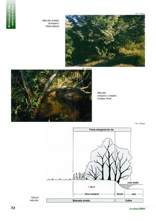 Revitalização de Rios
- orientação técnica -                                                                                     Foto: Planágua



                                       Mata ciliar, proteção
                                             da margem e
                                          biótopo especial




                                                               Foto: Planágua




                                                                                Mata ciliar
                                                                                enriquece o complexo
                                                                                ecológico fluvial




                                                                                                           Foto: Planágua




                          Faixa de
                         mata ciliar


            32                                                                                         outubro/2001
 