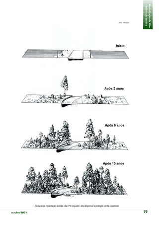 - orientação técnica -
                                                                                                                                        Revitalização de Rios
                                                                                                                       Foto: Planágua




               Evolução da implantação da mata ciliar. Pré-requisito: área disponível e protegida contra o pastoreio

outubro/2001                                                                                                                            33
 