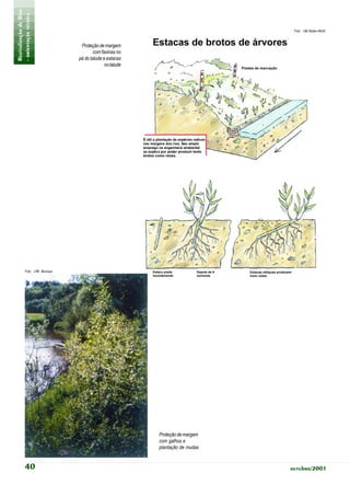 Revitalização de Rios
- orientação técnica -                                                            Foto: UM Baden-Württ



                                   Proteção de margem
                                          com faxinas no
                                  pé do talude e estacas
                                                no talude




             Foto: LfW, Munique




                                                            Proteção de margem
                                                            com galhos e
                                                            plantação de mudas


             40                                                                  outubro/2001
 
