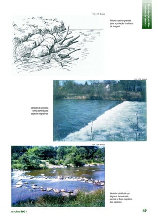 - orientação técnica -
                                                                                                      Revitalização de Rios
                                      Foto: LfW, Munique



                                                           Raízes e pedras grandes
                                                           para a proteção localizada
                                                           de margem




                                                                                        Foto: LfW, Munique




               Vertedor de concreto
                forma barreira para
               espécies migratórias




                                      Foto: LfW, Munique




                                                           Vertedor substituído por
                                                           degraus transversais,
                                                           permite o fluxo migratório
                                                           das espécies



outubro/2001                                                                                       45
 