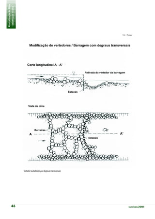 Revitalização de Rios
- orientação técnica -




                                                                         Foto: Planágua




                         Vertedor substituído por degraus transversais




           46                                                                    outubro/2001
 