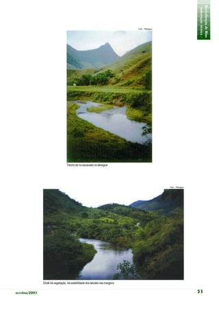 - orientação técnica -
                                                                                                              Revitalização de Rios
                                                                            Foto: Planágua




                                  Trecho de rio escavado no talvegue




                                                                                             Foto: Planágua




               Onde há vegetação, há estabilidade dos taludes nas margens

outubro/2001                                                                                                  51
 