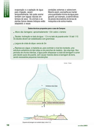 Revitalização de Rios
- orientação técnica -
                          evaporação e a captação de água                            condições extremas e sobrevivem.
                          para irrigação, secam                                      Mesmo assim, aconselha-se manter
                          temporariamente. Isto pode ocorrer                         uma quantidade mínima de água para
                          também com lagoas naturais em                              garantir, por exemplo, a sobrevivência
                          tempos de seca. Os animais e as                            de peixes devoradores de larvas de
                          plantas típicos desses biótopos estão                      mosquitos e de outros insetos.
                          adaptados a essas

                                              Dados técnicos propostos para o caso de Campos:
                         . Altura das barragens: aproximadamente 1,5m sobre o terreno
                         . Taludes: Inclinação no lado da água: 1:3 e no lado de jusante entre 1:6 até 1:10.
                         Os taludes devem ser estabilizados com gramíneas

                         . Largura de crista do dique: cerca de 3m
                         . Represa-se a água e implanta-se, para controlar o nível de montante, uma
                         estrutura vertedoura do tipo tulipa ou de pranchas de madeira, tipo stop-logs. Nos
                         períodos de chuvas intensas, a água pode ultrapassar a crista da barragem e correr
                         pelo talude suave de jusante, sem causar maiores danos à barragem de terra,
                         sendo necessárias pequenas manutenções

                                                                                                        Ilustração: Planágua




                                    Esquema de barragem com vertedor tulipa ( corte A - B )

            58                                                                                                                 outubro/2001
 