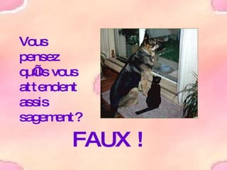 Vous pensez qu’ils vous attendent assis sagement? FAUX ! 