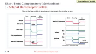 Short-Term Compensatory Mechanisms;
1- Arterial Baroreceptor Reflex
14
Flow to the heart and brain is maintained; reductions in flow to other organs.
ONLY IN MALES’ SLIDES
Fully explained in arterial pressure regulation lecture.
 