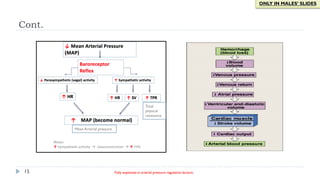 15
Cont.
ONLY IN MALES’ SLIDES
Total
physical
resistance
Mean Arterial pressure
Fully explained in arterial pressure regulation lecture.
 