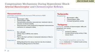 Vasoconstriction
(arteriolar constriction): this increasesTPR and hence MAP.
It is produced by:
o Baroreceptor reflex.
o Chemoreceptor reflex.
o Noreadrenaline-adrenaline vasoconstrictor mechanism (due to
activation of adrenal medulla).
o Vasoconstriction is also produced by vasopressin-vasoconstrictor
mechanism (in subsequent slides).
Marked in:
o Skin: cold, pale.
o kidneys: drop in GFR & urine volume.
o Viscera.
o Flow to the heart and brain is maintained; reductions in flow to
other organs.
Important in:
o Shifting blood from the venous reservoir into the circulation.
o Maintaining filling pressure of the heart.
Tachycardia
Produced by:
• Baroreceptor reflex.
• Chemoreceptor reflex.
• Increased sympathetic activity.
Tachypnea
Caused by : activation of chemoreceptor reflex and
sympathetic over activity.
Importance:
• Increase O2 delivery.
• Increase thoracic pump activity→ help
venous return.
• The increased sympathetic activity also
causes restlessness → ↑ skeletal muscle activity
→ help venous return.
17
Compensatory Mechanisms During Hypovolemic Shock
Arterial Baroreceptor and Chemoreceptor Reflexes
ONLY IN MALES’ SLIDES
 