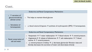 19
Endocrine and Renal Compensatory Mechanisms
o ↑ secretion of
glucocorticoids by
adrenal cortex
o This helps to maintain blood glucose
o Stimulation of
hematopoiesis
o ↓ blood volume & hypoxia à synthesis of erythropoeitin (EPO) à hematopoiesis.
Endocrine and Renal Compensatory Mechanisms
o Renal conservation of
salt and water
o Vasopressin à ↑ water reabsorption à ↑ blood volume à ↑ arterial pressure.
o Angiotensin II à release of aldosterone à ↑ salt reabsorption à ↑ blood
volume à ↑ arterial pressure.
o ↓ arterial pressure in kidney à ↓ decreases glomerular filtration rates and
thereby decreases the excretion of water and electrolytes directly
ONLY IN MALES’ SLIDES
Cont.
 