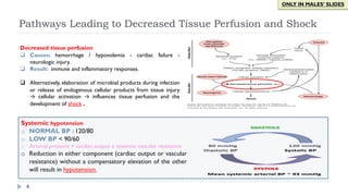 4
ONLY IN MALES’ SLIDES
Pathways Leading to Decreased Tissue Perfusion and Shock
Decreased tissue perfusion
q Causes: hemorrhage / hypovolemia - cardiac failure -
neurologic injury.
q Result: immune and inflammatory responses.
q Alternatively, elaboration of microbial products during infection
or release of endogenous cellular products from tissue injury
→ cellular activation → influences tissue perfusion and the
development of shock .
Systemic hypotension
o NORMAL BP : 120/80
o LOW BP < 90/60
o Arterial pressure = cardiac output x systemic vascular resistance
o Reduction in either component (cardiac output or vascular
resistance) without a compensatory elevation of the other
will result in hypotension.
 
