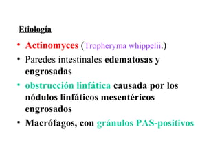 Etiología
• Actinomyces (Tropheryma whippelii.)
• Paredes intestinales edematosas y
  engrosadas
• obstrucción linfática causada por los
  nódulos linfáticos mesentéricos
  engrosados
• Macrófagos, con gránulos PAS-positivos
 