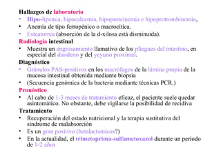 Hallazgos de laboratorio
• Hipo-lipemia, hipocalcemia, hipoproteinemia e hipoprotrombinemia,
• Anemia de tipo ferropénico o macrocítica.
• Esteatorrea (absorción de la d-xilosa está disminuida).
Radiología intestinal
• Muestra un engrosamiento llamativo de los pliegues del intestino, en
   especial del duodeno y del yeyuno proximal.
Diagnóstico
• Gránulos PAS-positivos en los macrófagos de la lámina propia de la
   mucosa intestinal obtenida mediante biopsia
• (Secuencia genómica de la bacteria mediante técnicas PCR.)
Pronóstico
• Al cabo de 1-3 meses de tratamiento eficaz, el paciente suele quedar
   asintomático. No obstante, debe vigilarse la posibilidad de recidiva
Tratamiento
• Recuperación del estado nutricional y la terapia sustitutiva del
   síndrome de malabsorción
• Es un gran positivo (betalactamicos?)
• En la actualidad, el trimetoprima-sulfametoxazol durante un período
   de 1-2 años
 