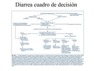 Diarrea cuadro de decisión
 