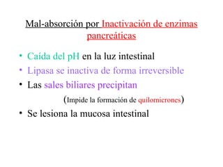 Mal-absorción por Inactivación de enzimas
               pancreáticas

• Caída del pH en la luz intestinal
• Lipasa se inactiva de forma irreversible
• Las sales biliares precipitan
           (Impide la formación de quilomicrones)
• Se lesiona la mucosa intestinal
 