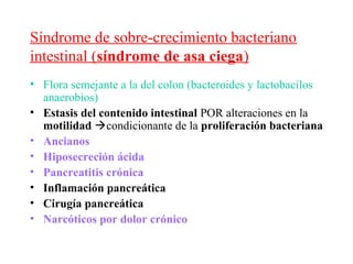 Síndrome de sobre-crecimiento bacteriano
intestinal (síndrome de asa ciega)
• Flora semejante a la del colon (bacteroides y lactobacilos
  anaerobios)
• Estasis del contenido intestinal POR alteraciones en la
  motilidad condicionante de la proliferación bacteriana
• Ancianos
• Hiposecreción ácida
• Pancreatitis crónica
• Inflamación pancreática
• Cirugía pancreática
• Narcóticos por dolor crónico
 