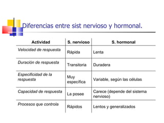 Diferencias entre sist nervioso y hormonal. Actividad S. nervioso S. hormonal Velocidad de respuesta   Rápida Lenta Duración de respuesta   Transitoria Duradera Especificidad de la respuesta   Muy específica Variable, según las células Capacidad de respuesta   La posee Carece (depende del sistema nervioso) Procesos que controla   Rápidos Lentos y generalizados 