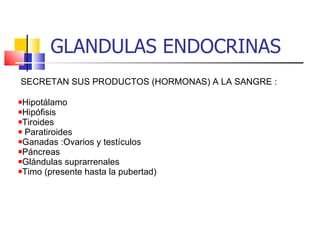 GLANDULAS ENDOCRINAS SECRETAN SUS PRODUCTOS (HORMONAS) A LA SANGRE : Hipotálamo  Hipófisis  Tiroides Paratiroides  Ganadas :Ovarios y testículos  Páncreas  Glándulas suprarrenales  Timo (presente hasta la pubertad) 