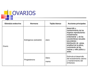 OVARIOS Glándula endocrina Hormona Tejido blanco Acciones principales Ovario Estrógenos (estradiol) útero desarrollo y mantenimiento de los órganos reproductores: revestimiento endometrial  y de las características sexuales secundarias : distribución de  grasa, amplitud de la pelvis, crecimiento de las mamas y vello púbico y axilar. Progesterona Útero mama Estimula el desarrollo del revestimiento uterino y mantenimiento del embarazo 