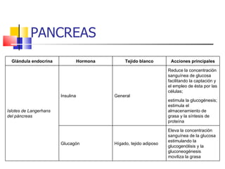 PANCREAS Glándula endocrina Hormona Tejido blanco Acciones principales Islotes de Langerhans del páncreas Insulina General Reduce la concentración sanguínea de glucosa facilitando la captación y el empleo de ésta por las células;  estimula la glucogénesis; estimula el almacenamiento de grasa y la síntesis de proteína Glucagón Hígado, tejido adiposo Eleva la concentración sanguínea de la glucosa estimulando la glucogenólisis y la gluconeogénesis moviliza la grasa 