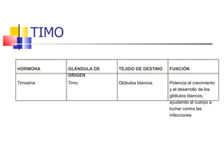 TIMO  HORMONA GLÁNDULA DE  ORIGEN TEJIDO DE DESTINO FUNCIÓN Timosina Timo Glóbulos blancos Potencia el crecimiento  y el desarrollo de los  glóbulos blancos,  ayudando al cuerpo a  luchar contra las  infecciones 