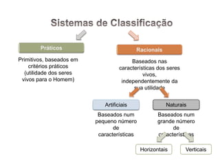 Primitivos, baseados em                  Baseados nas
     critérios práticos             características dos seres
   (utilidade dos seres                       vivos,
 vivos para o Homem)                 independentemente da
                                          sua utilidade


                             Artificiais               Naturais
                           Baseados num            Baseados num
                          pequeno número           grande número
                                 de                      de
                           características         características

                                             Horizontais        Verticais
 