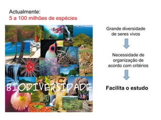 Actualmente:
5 a 100 milhões de espécies
                              Grande diversidade
                                de seres vivos



                                Necessidade de
                                organização de
                              acordo com critérios




                              Facilita o estudo
 